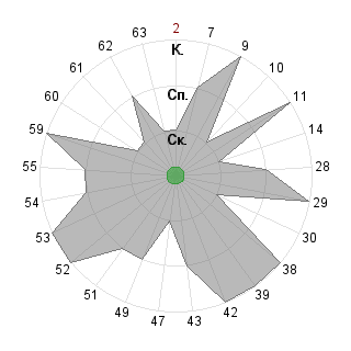 Анжелика Польщикова (Angi): Соответствие профессии «Руководитель коллектива»